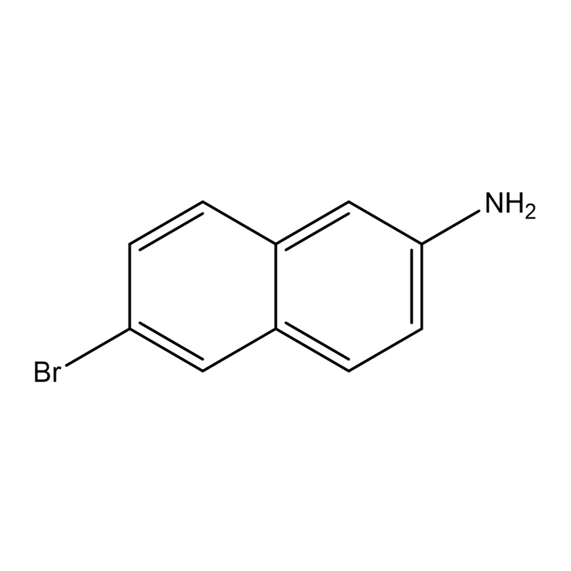 6-Bromonaftaleno-2-amina