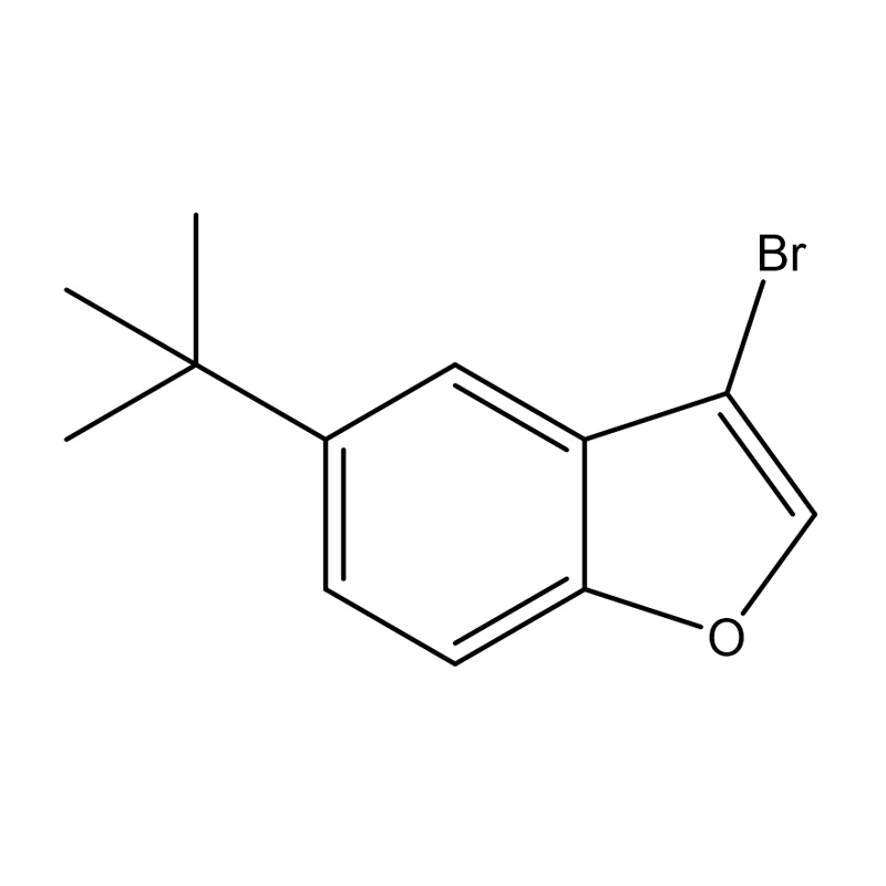 3-bromo-5-terc-butilbenzofurano