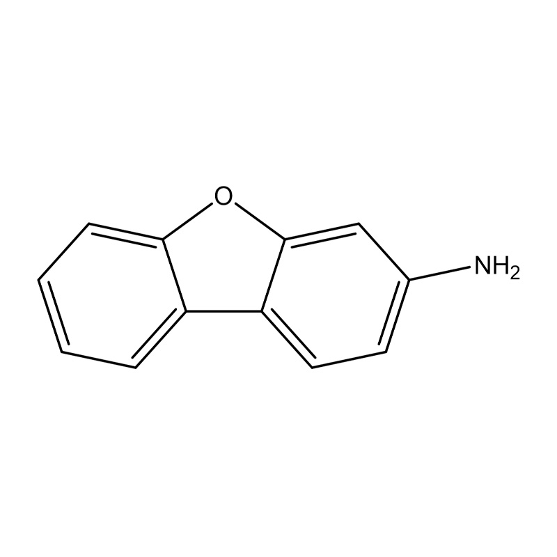 3-Amino Dibenzofurano